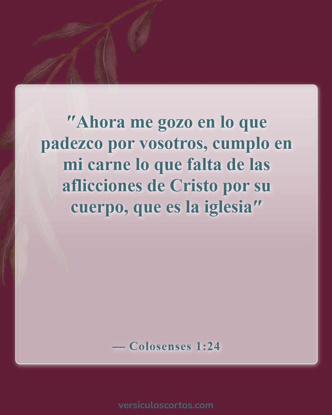 Versículos de la Biblia sobre asistir a la iglesia (Colosenses 1:24)