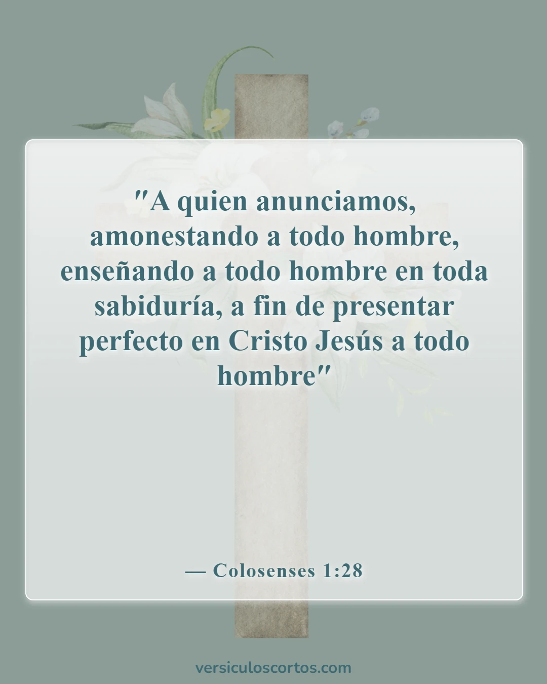 Versículos de la Biblia sobre el Crecimiento Espiritual (Colosenses 1:28)