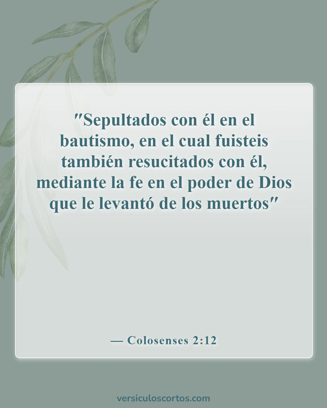 Versículos de la Biblia sobre el bautismo de bebés (Colosenses 2:12)
