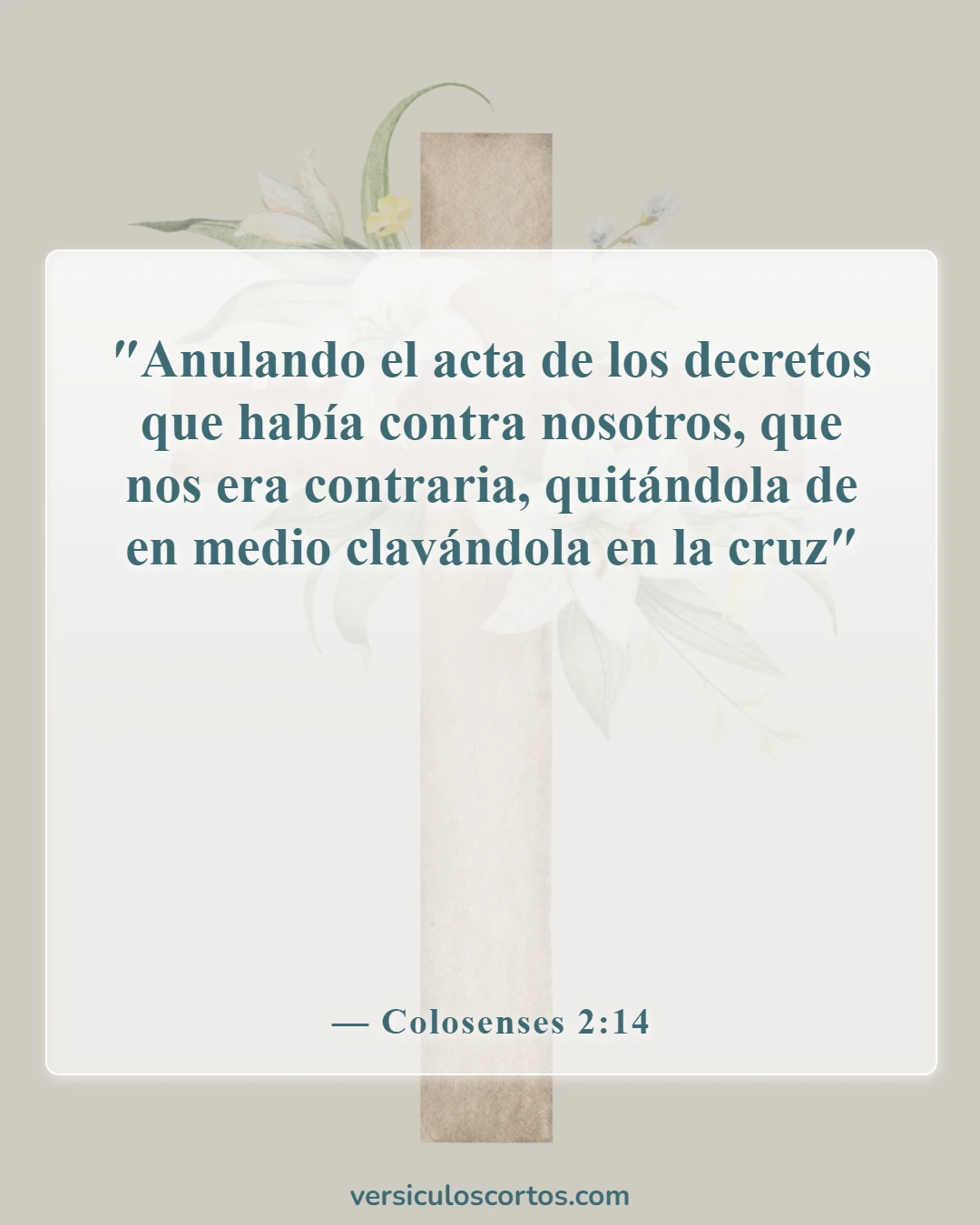 Versículos de la Biblia sobre la muerte de Jesús (Colosenses 2:14)