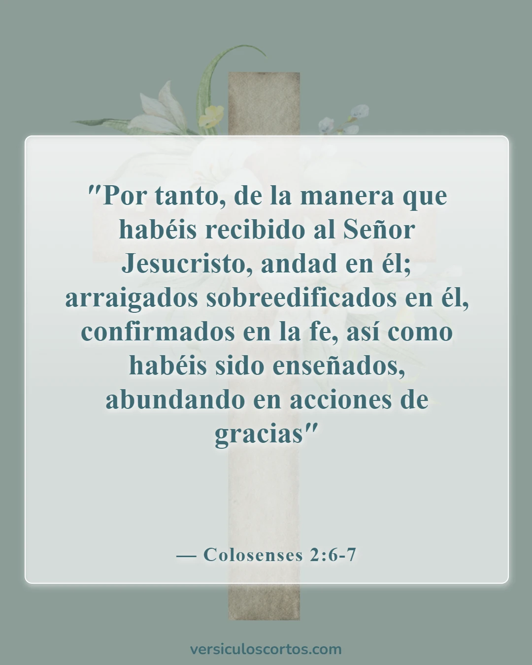 Versículos de la Biblia sobre la intimidad con Dios (Colosenses 2:6-7)