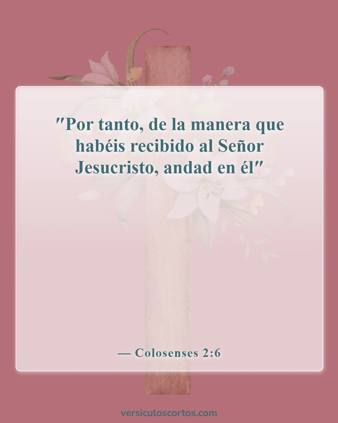 Versículos de la Biblia sobre seguir a Jesús (Colosenses 2:6)
