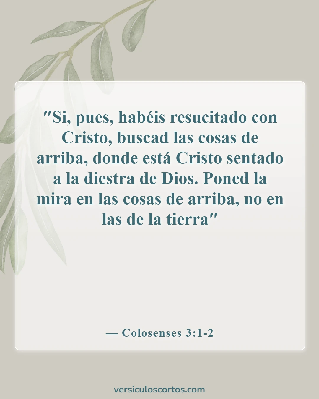 Versículos bíblicos sobre la vida cristiana diaria (Colosenses 3:1-2)