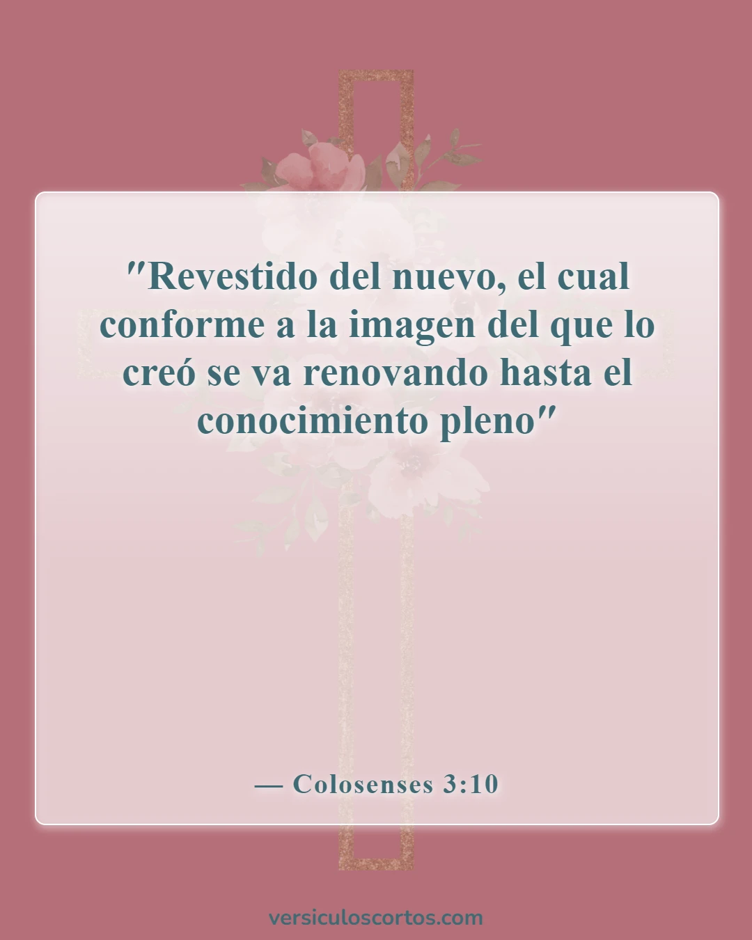 Versículos de la Biblia sobre la renovación de la mente (Colosenses 3:10)