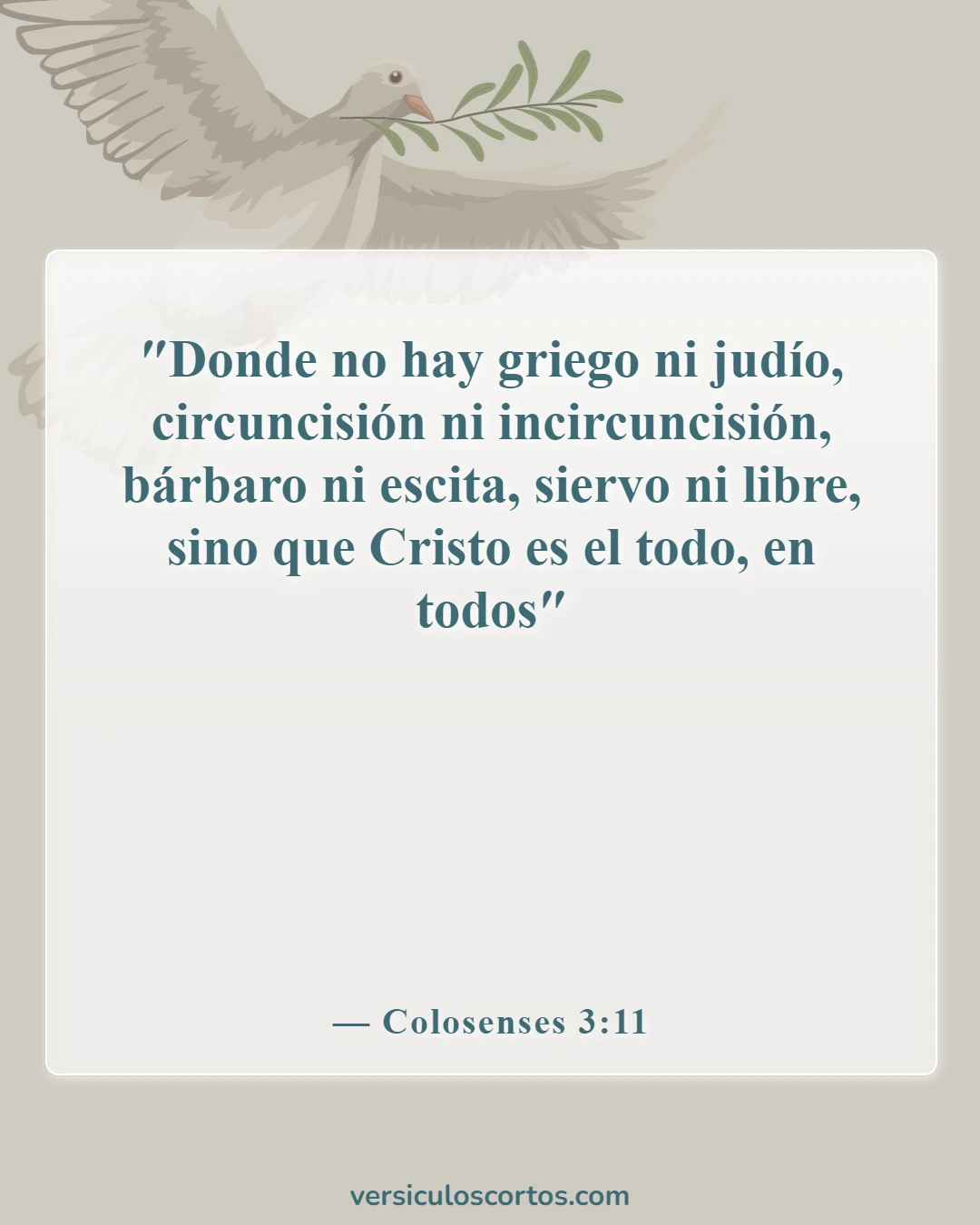 Versículos de la Biblia sobre la libertad en Cristo (Colosenses 3:11)