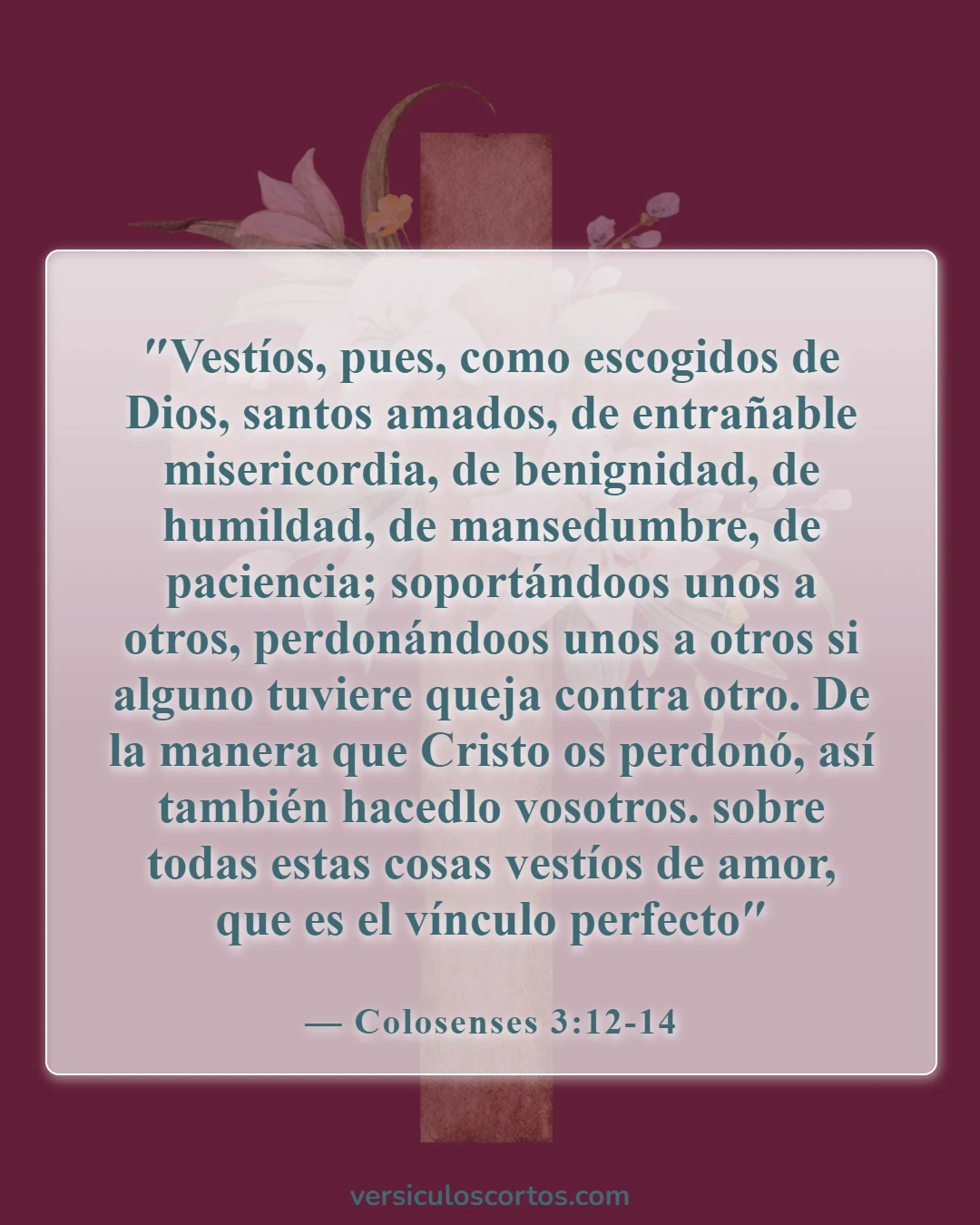 Versículos de la Biblia sobre cómo Dios ama a todos (Colosenses 3:12-14)