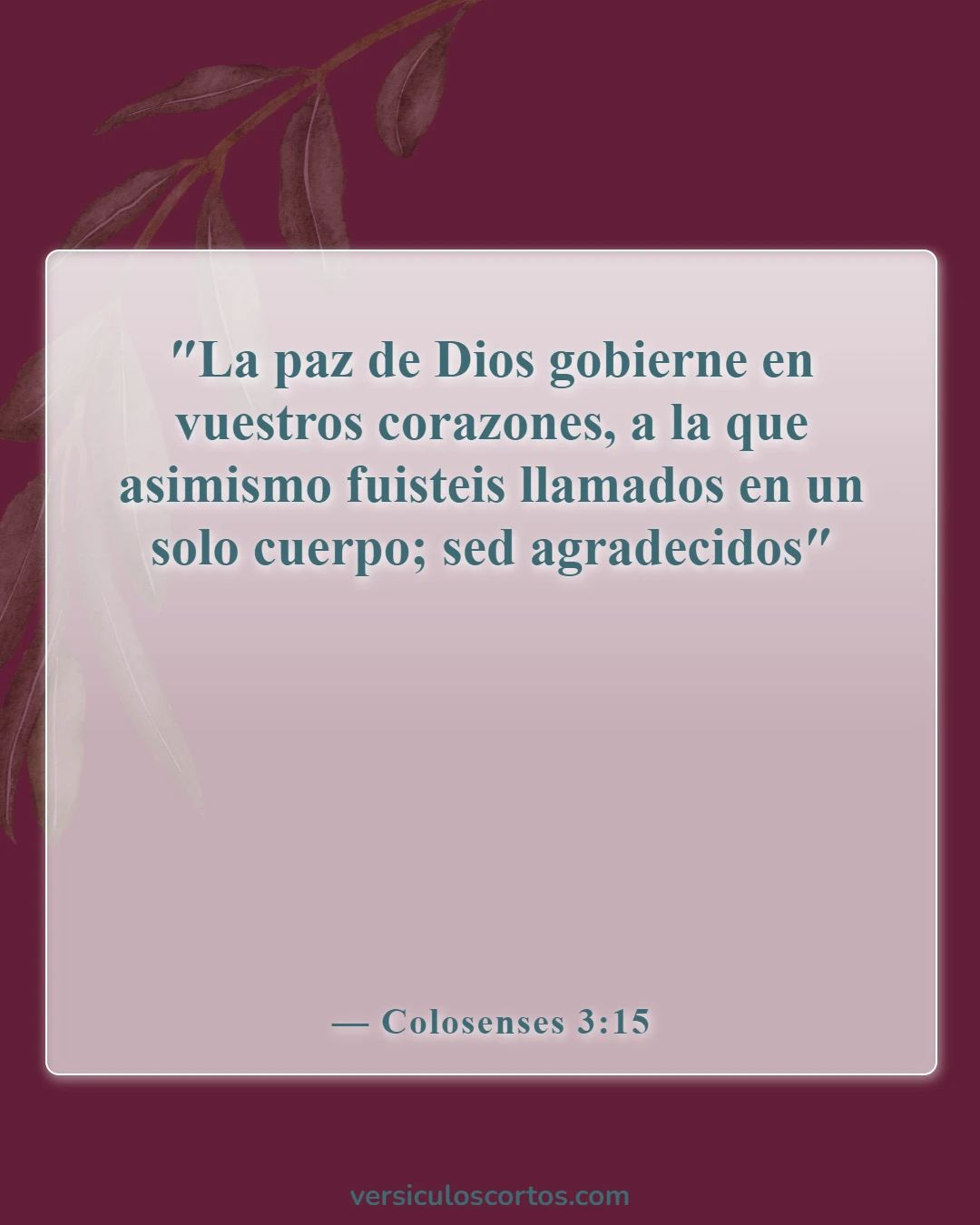 Versículos de la Biblia sobre la Apreciación de la Vida (Colosenses 3:15)