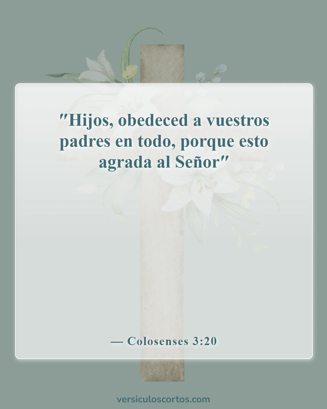 Versículos bíblicos sobre dejar a los padres (Colosenses 3:20)