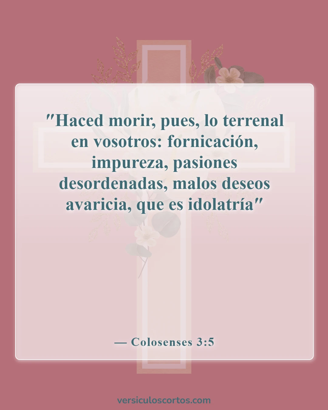 Versículos de la Biblia sobre salir con un no creyente (Colosenses 3:5)
