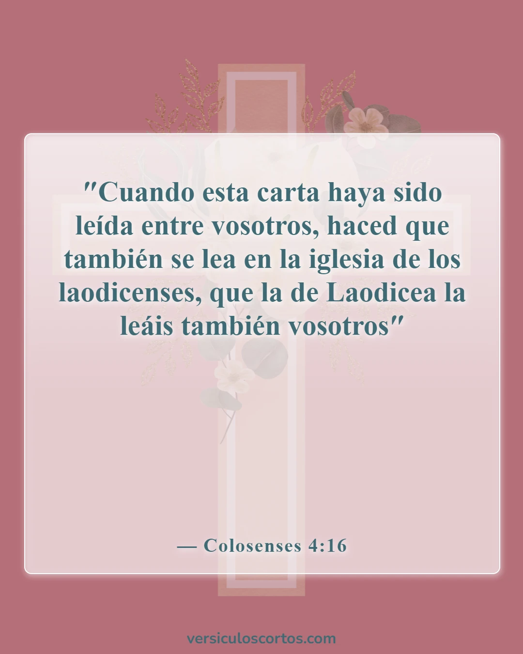 Versículos de la Biblia sobre leer la Palabra de Dios (Colosenses 4:16)