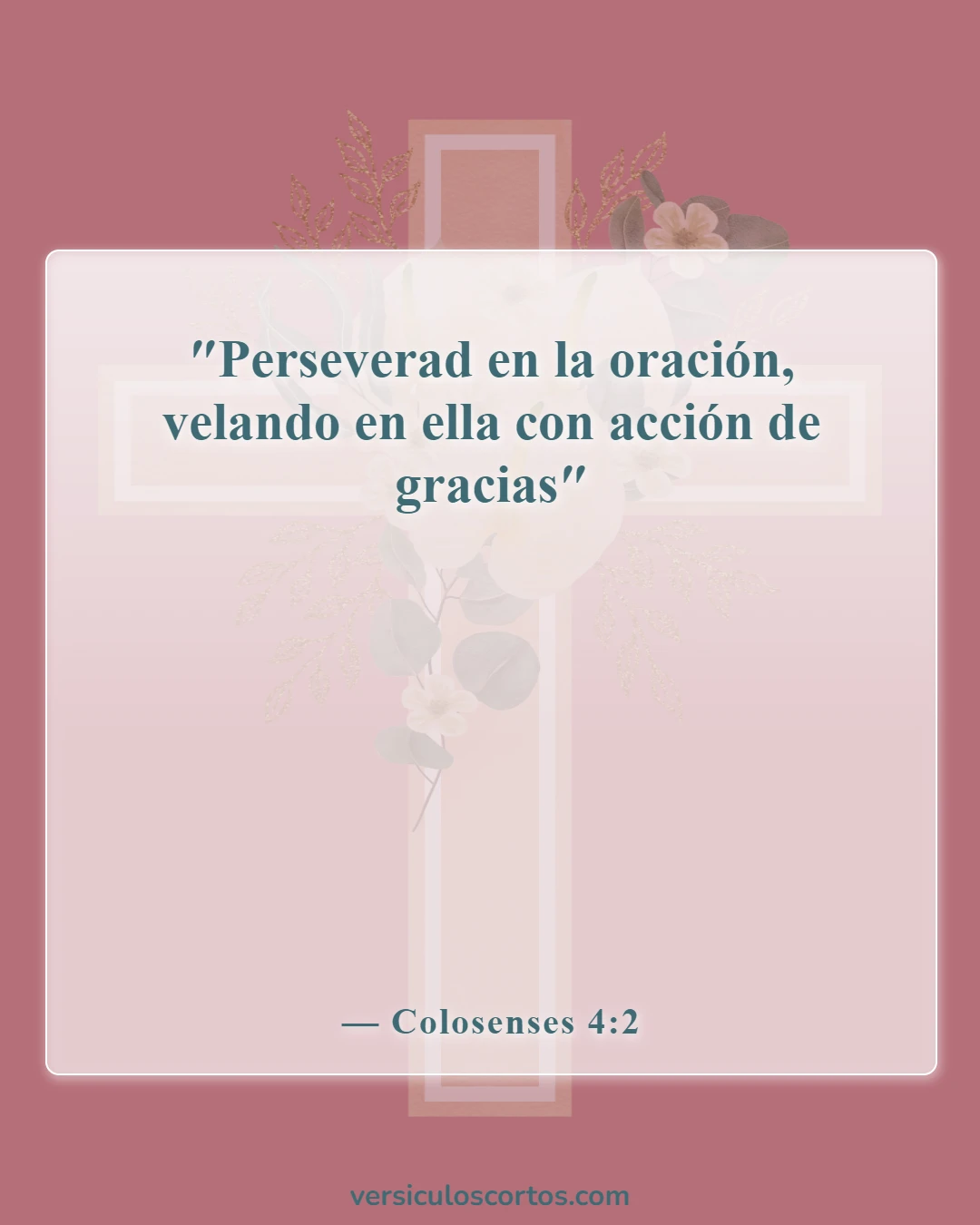 Versículos de la Biblia sobre la Apreciación de la Vida (Colosenses 4:2)