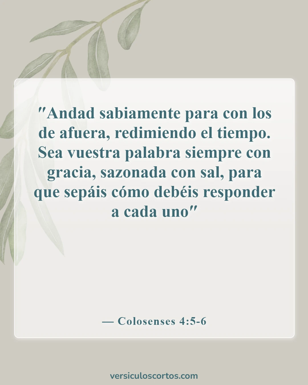 Versículos bíblicos sobre mantener compañía con pecadores (Colosenses 4:5-6)