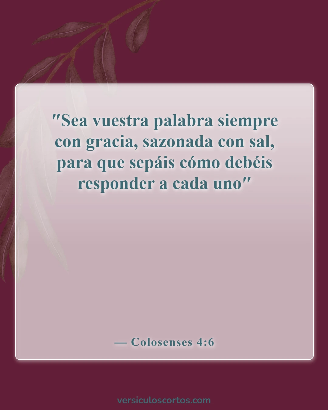 Versículos de la Biblia sobre perdonar a tus enemigos (Colosenses 4:6)