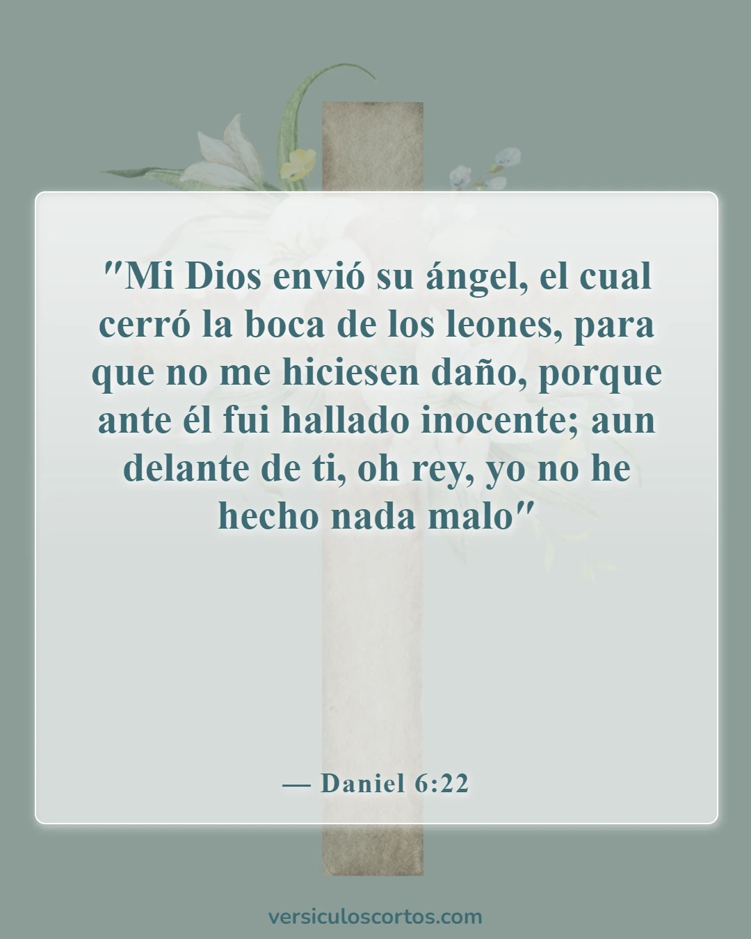 Versículos de la Biblia sobre ángeles y humanos (Daniel 6:22)