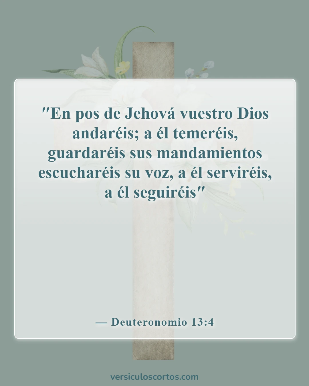 Versículos bíblicos sobre la obediencia a Dios (Deuteronomio 13:4)
