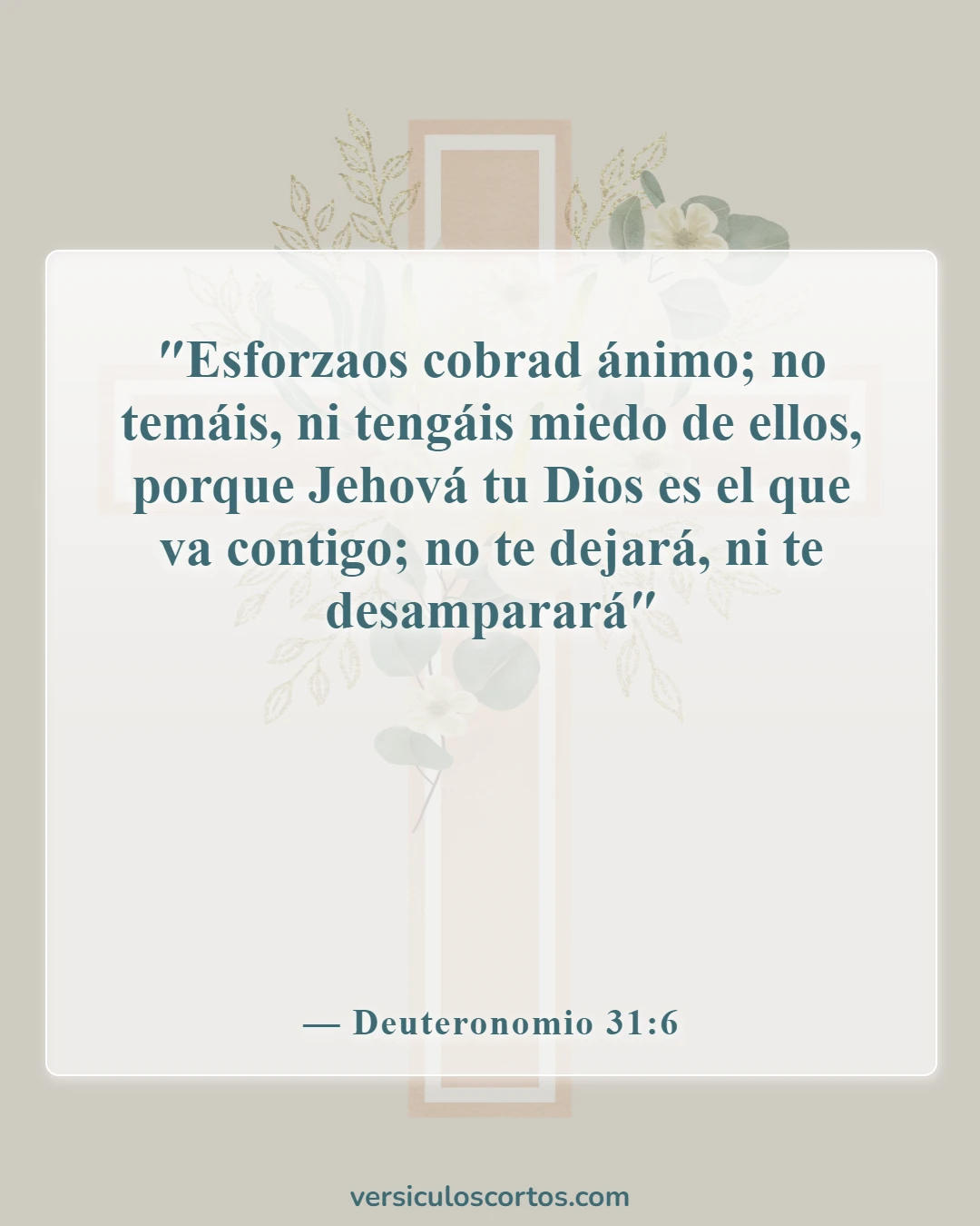 Versículos de la Biblia sobre estar solo (Deuteronomio 31:6)