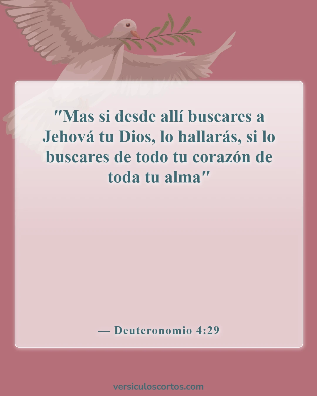 Versículos de la Biblia sobre "Pedid y recibiréis" (Deuteronomio 4:29)