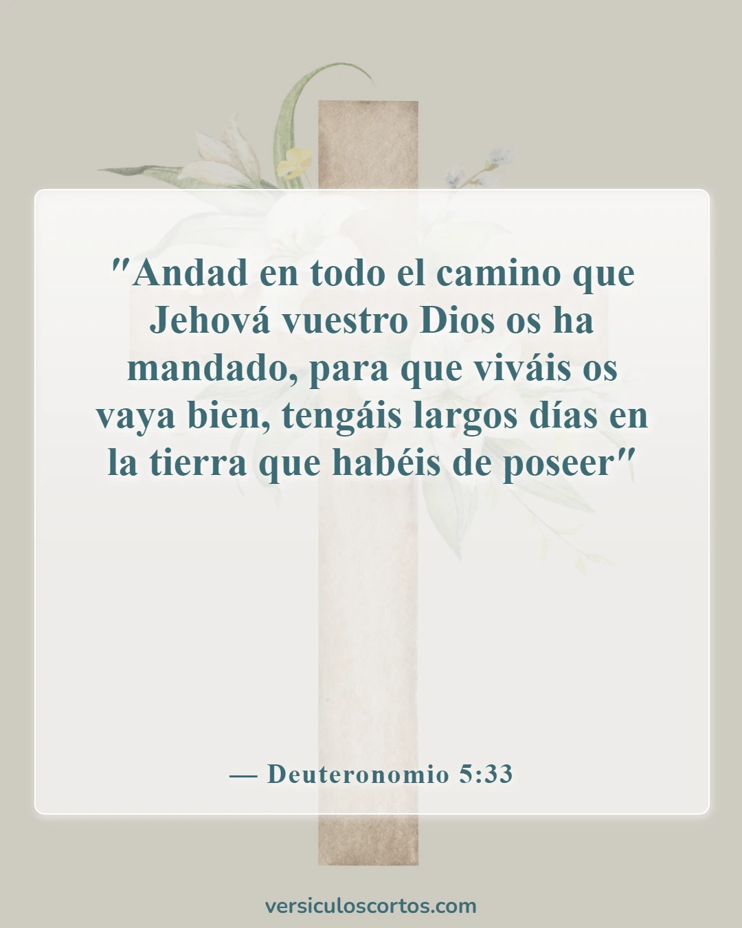 Versículos bíblicos sobre la obediencia a Dios (Deuteronomio 5:33)