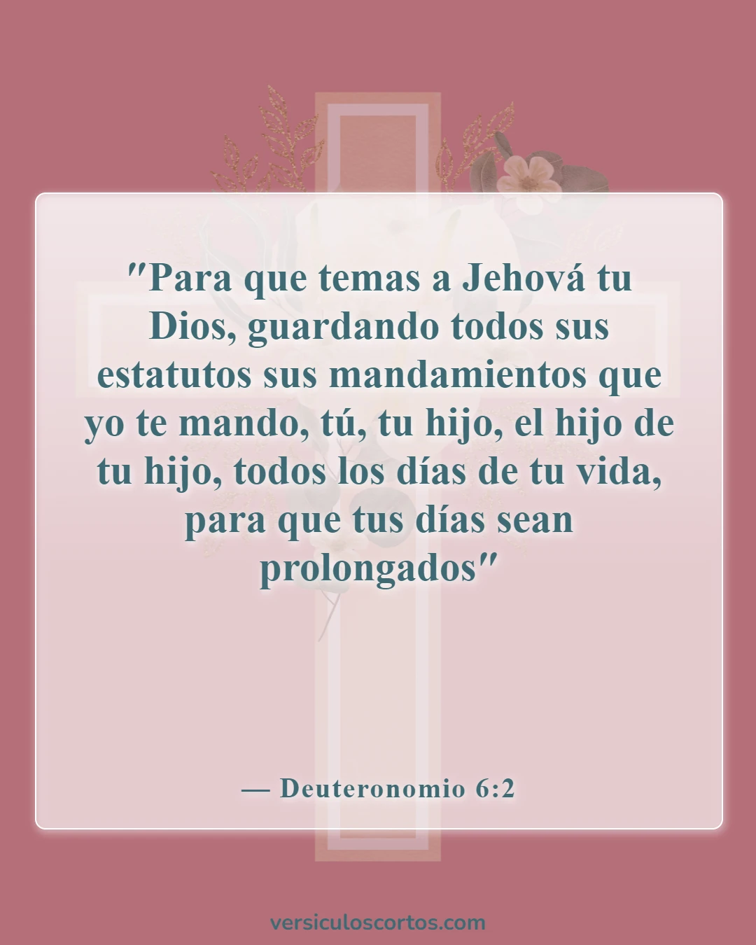 Versículos bíblicos sobre las responsabilidades de los padres (Deuteronomio 6:2)