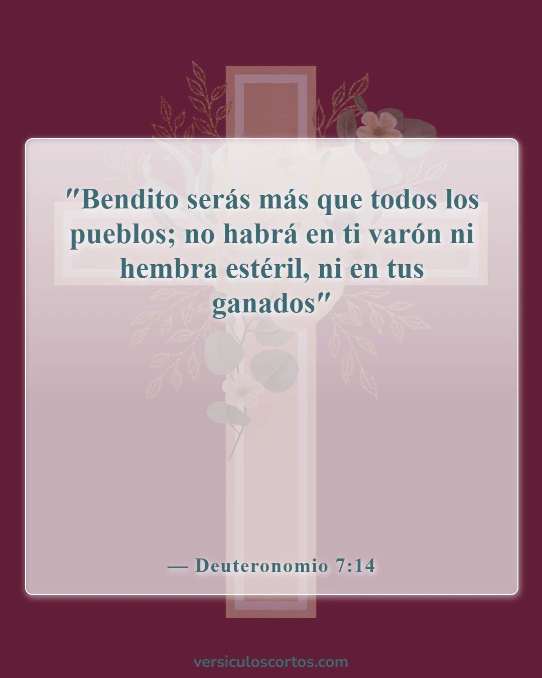Versículos de la Biblia sobre mujeres estériles (Deuteronomio 7:14)