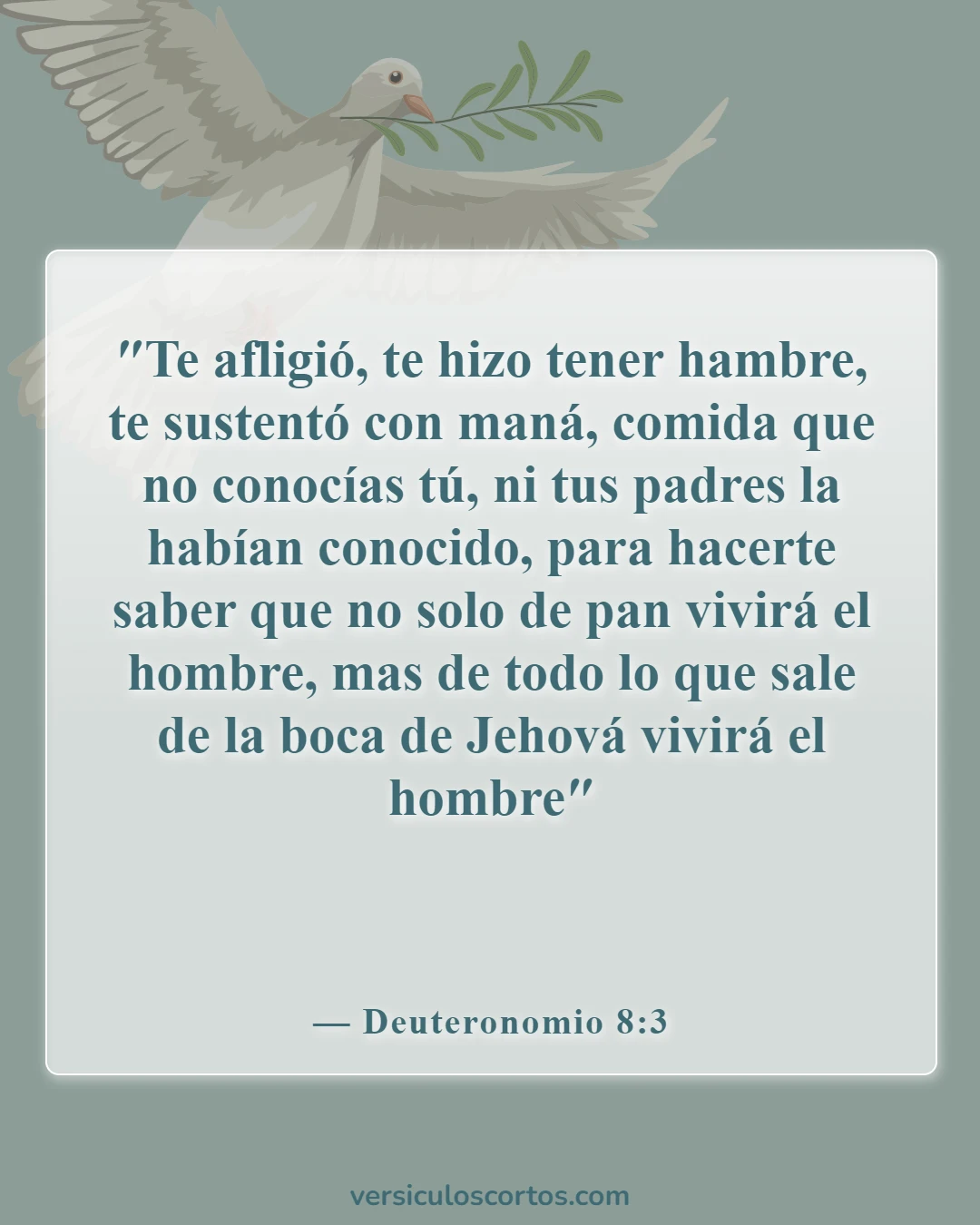 Versículos bíblicos sobre el alimento espiritual (Deuteronomio 8:3)
