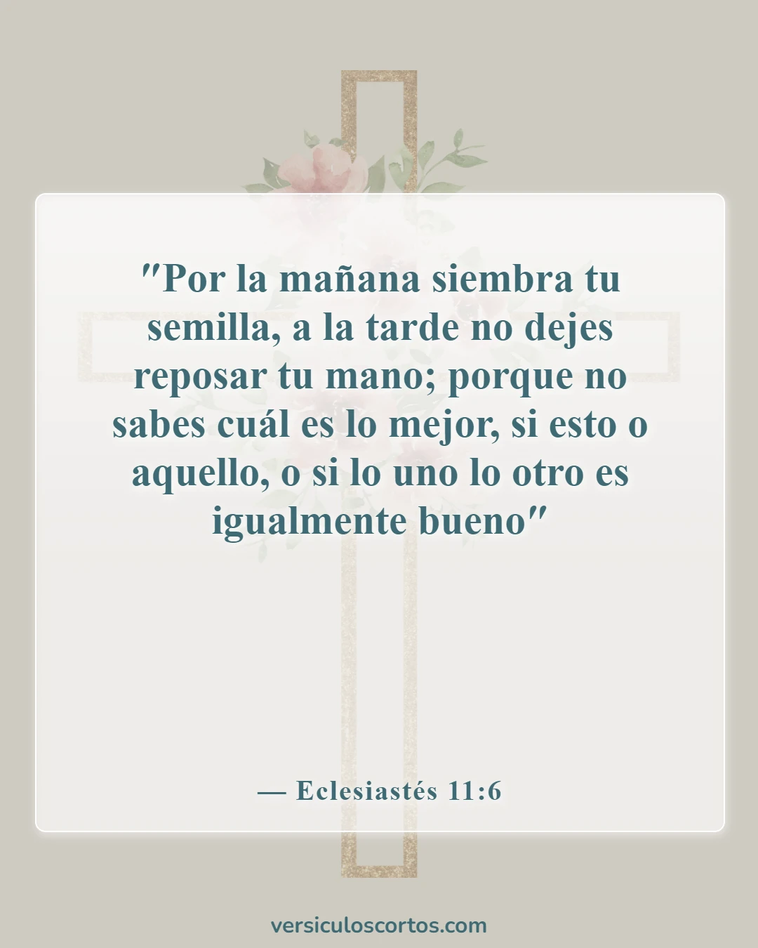 Versículos de la Biblia sobre el trabajo del hombre (Eclesiastés 11:6)