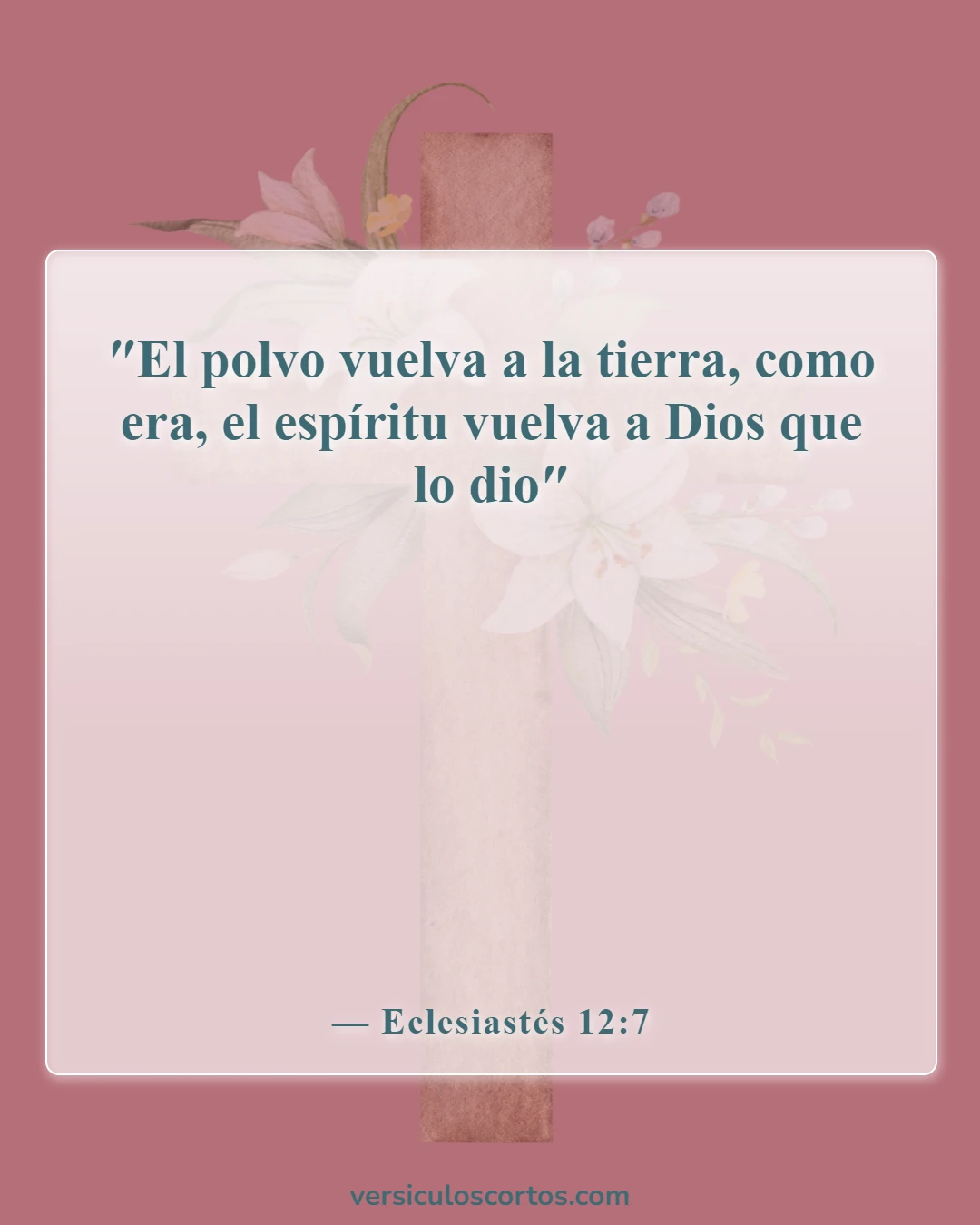 Versículos de la Biblia sobre los bebés que van al cielo (Eclesiastés 12:7)