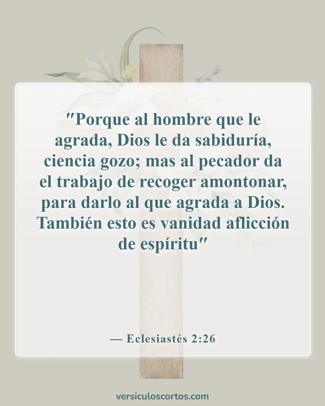 Versículos de la Biblia sobre la falta de conocimiento (Eclesiastés 2:26)