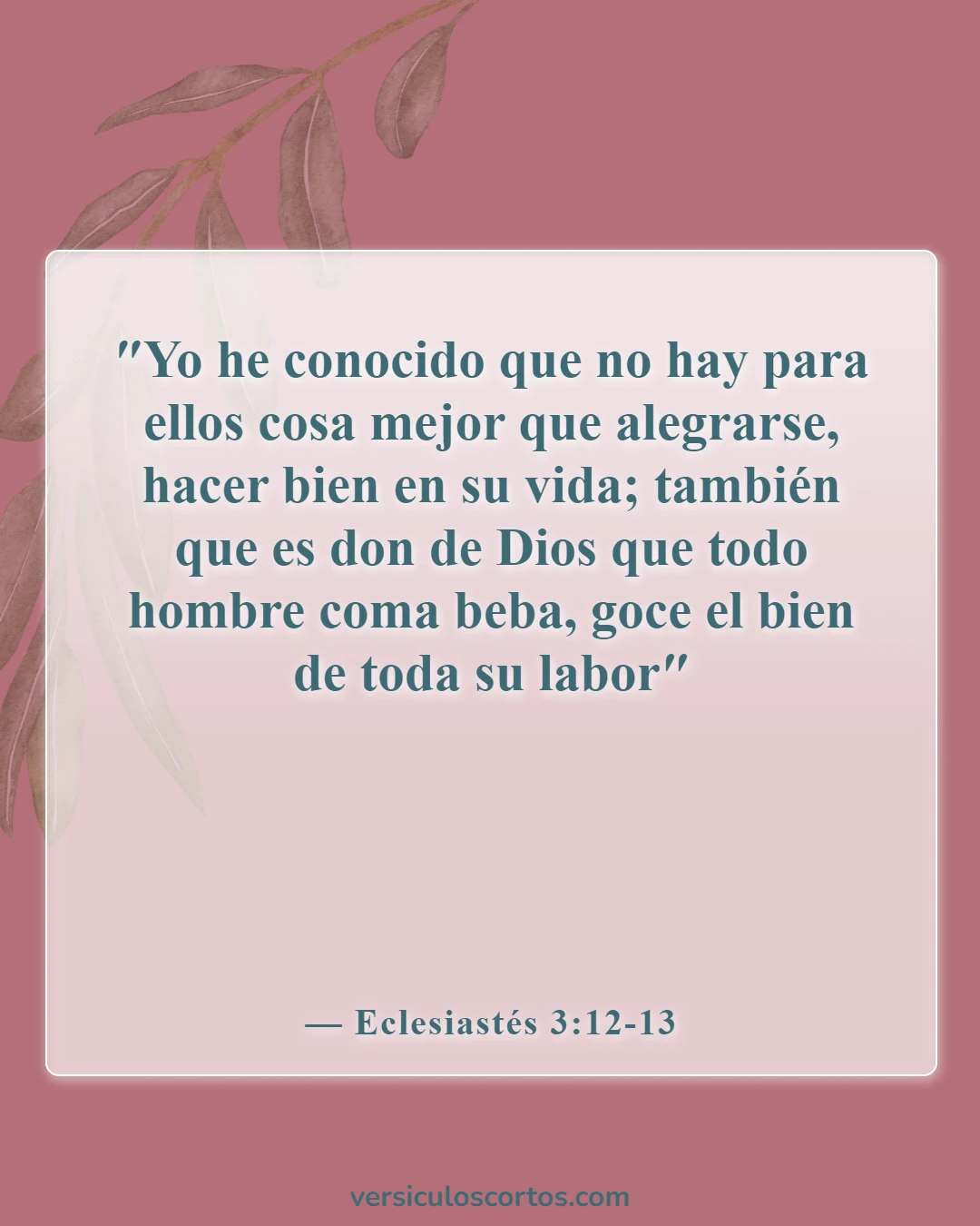 Versículos de la Biblia sobre la Apreciación de la Vida (Eclesiastés 3:12-13)