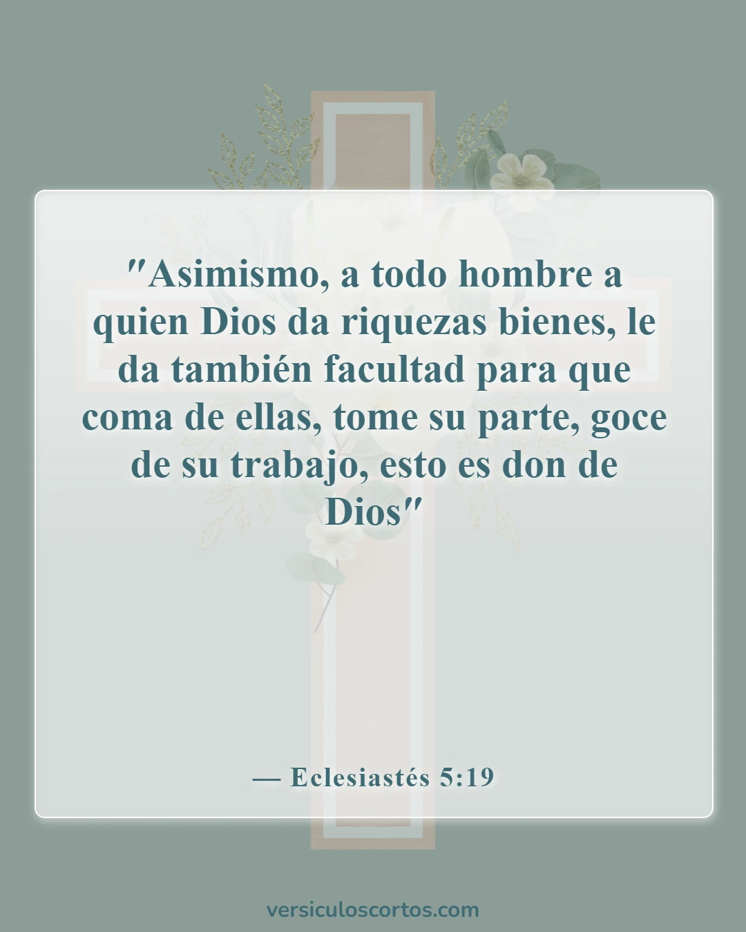 Versículos de la Biblia sobre la Apreciación de la Vida (Eclesiastés 5:19)