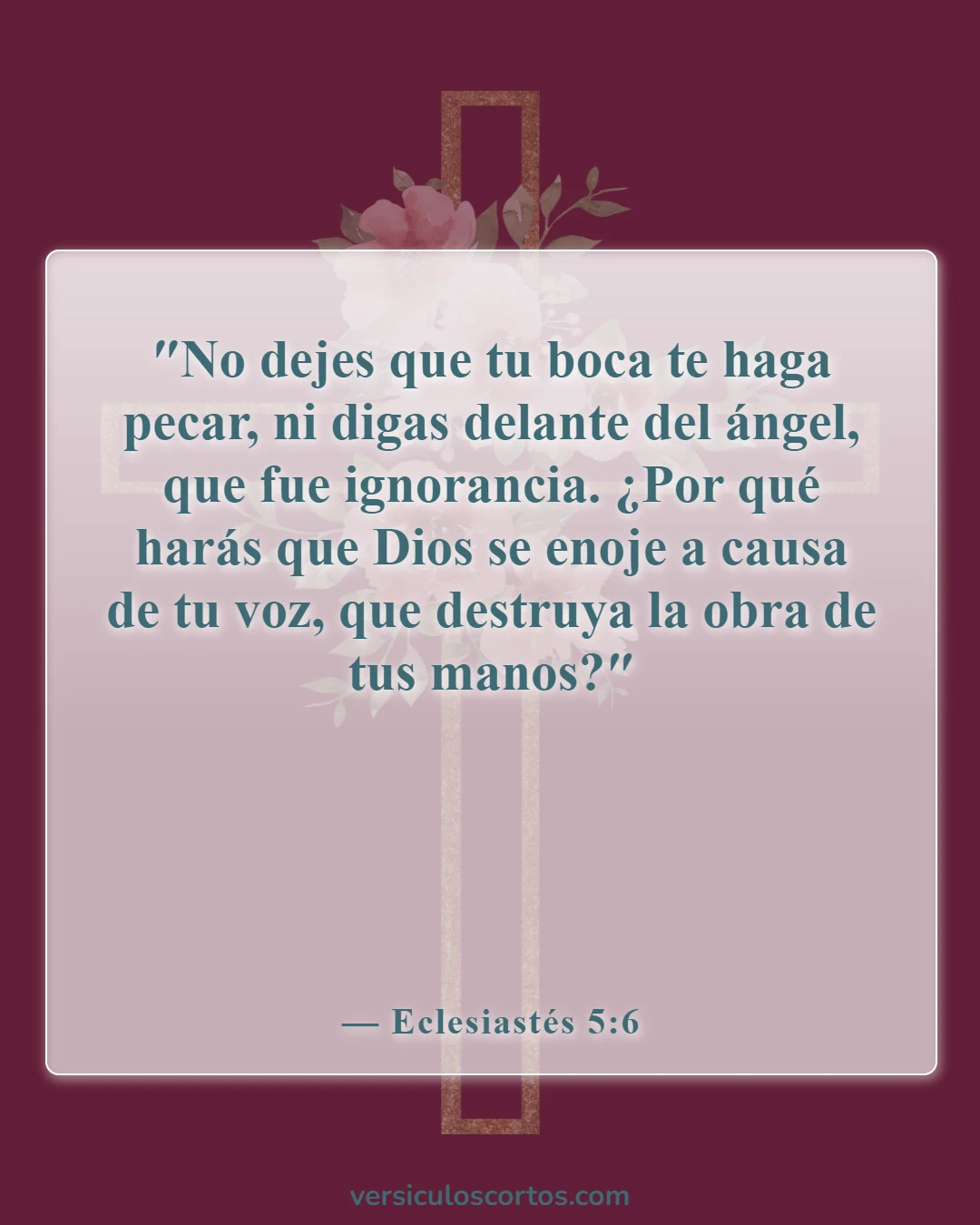Versículos de la Biblia sobre el mal lenguaje (Eclesiastés 5:6)