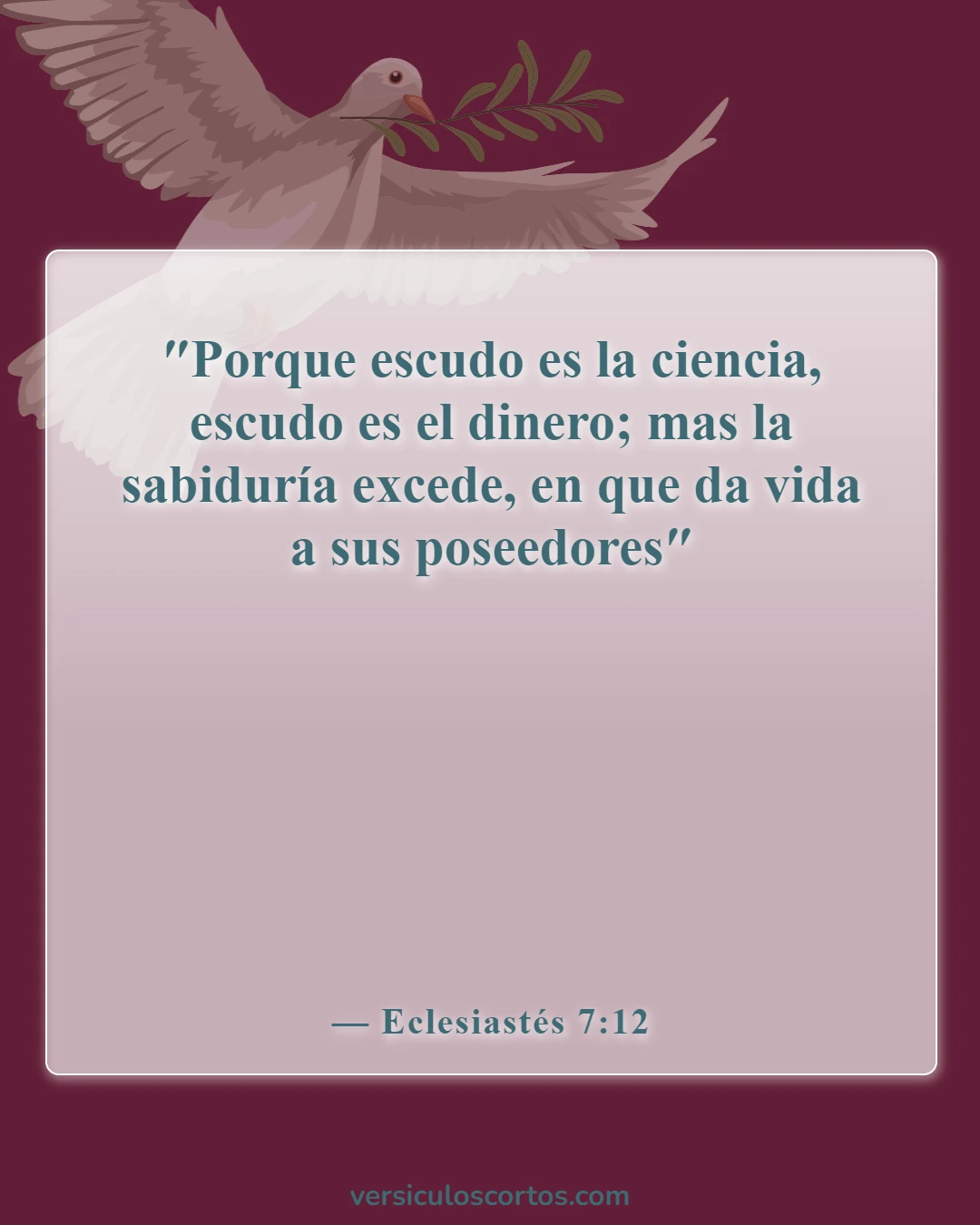 Versículos de la Biblia sobre la falta de conocimiento (Eclesiastés 7:12)