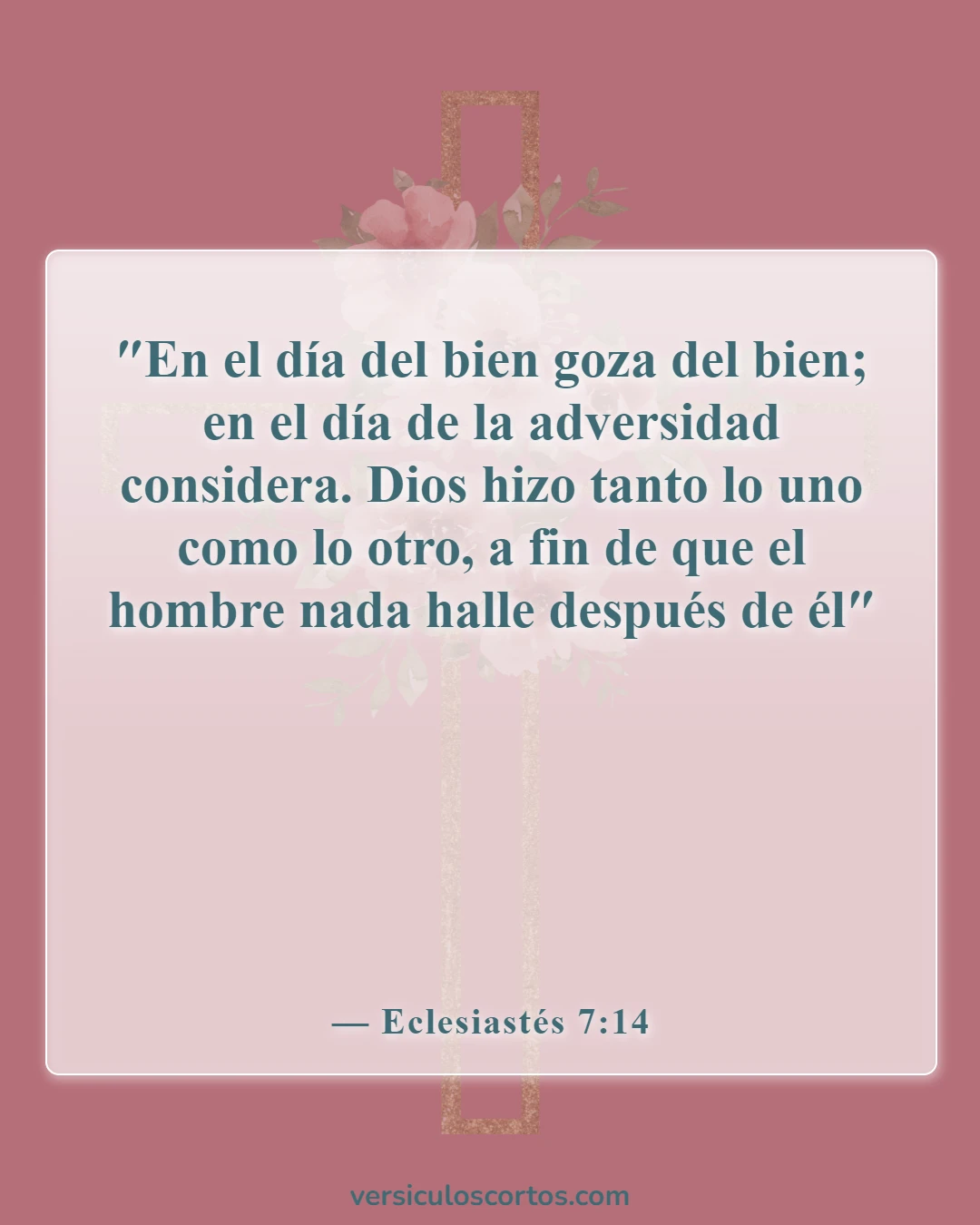 Versículos de la Biblia sobre disfrutar de la vida (Eclesiastés 7:14)