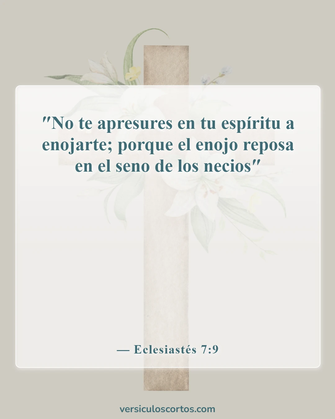 Versículos bíblicos sobre albergar ira (Eclesiastés 7:9)