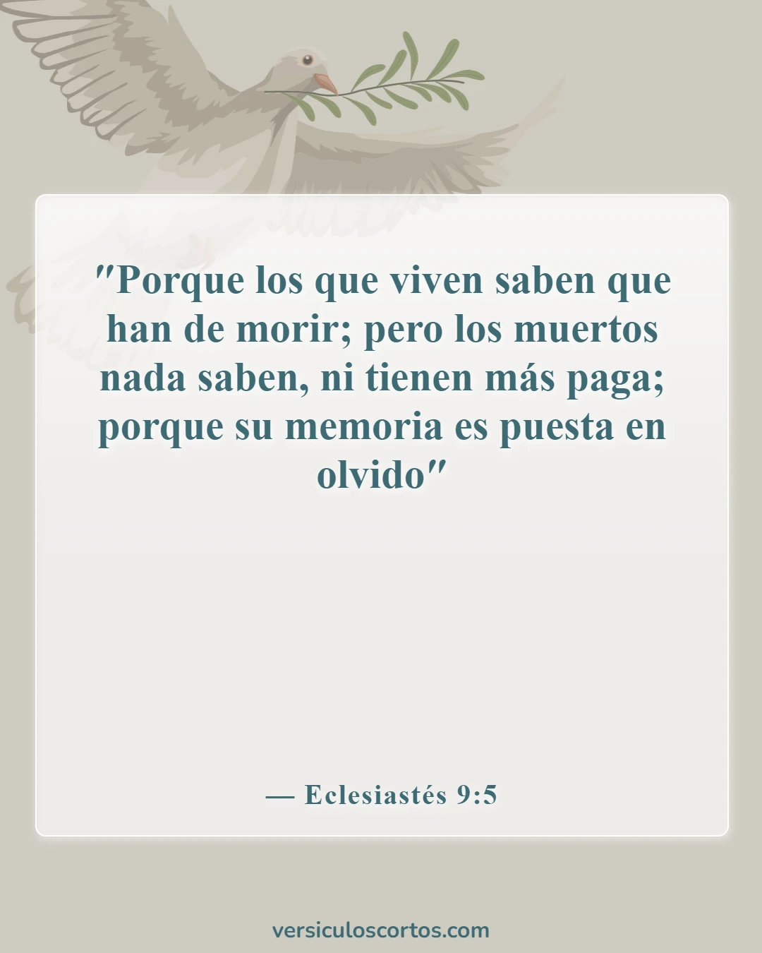 Versículos de la Biblia sobre la memoria después de la muerte (Eclesiastés 9:5)