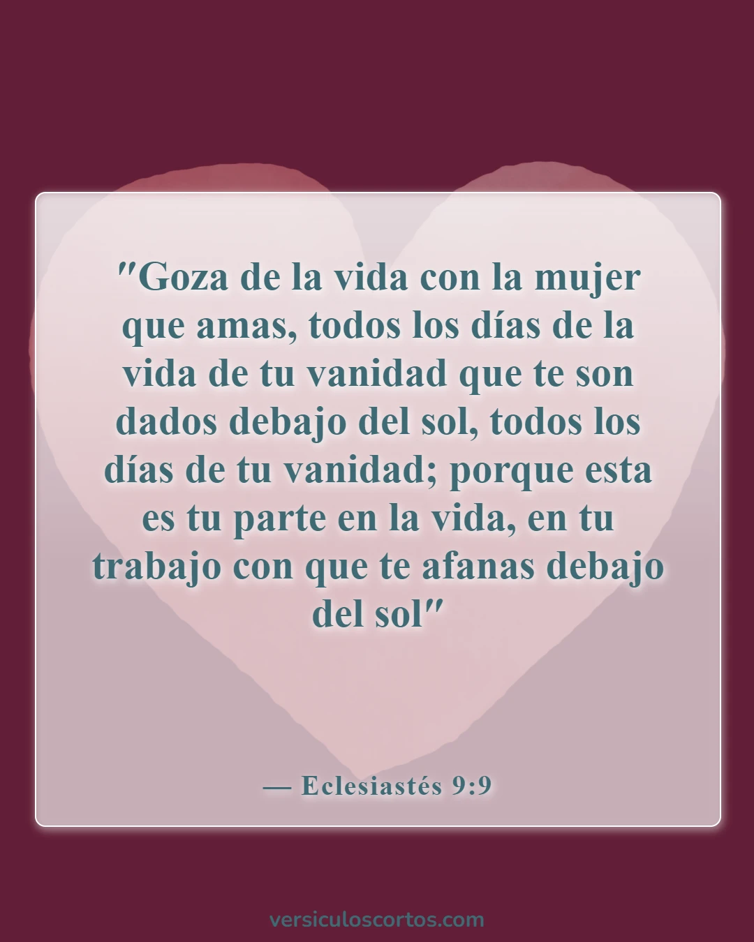 Versículos de la Biblia sobre malos maridos (Eclesiastés 9:9)