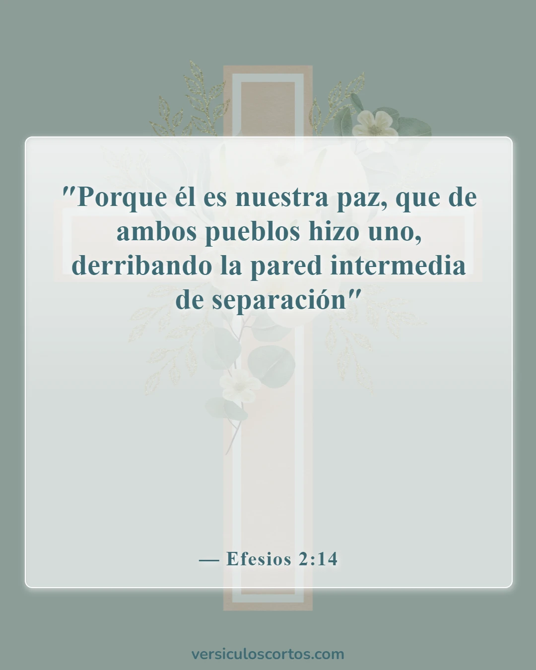 Versículos de la Biblia sobre la libertad en Cristo (Efesios 2:14)