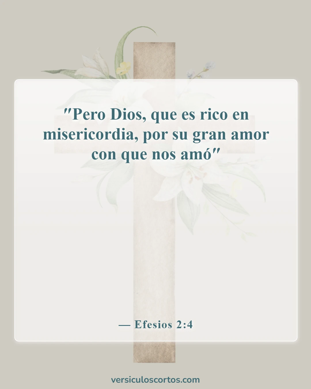 Versículos de la Biblia sobre la misericordia (Efesios 2:4)