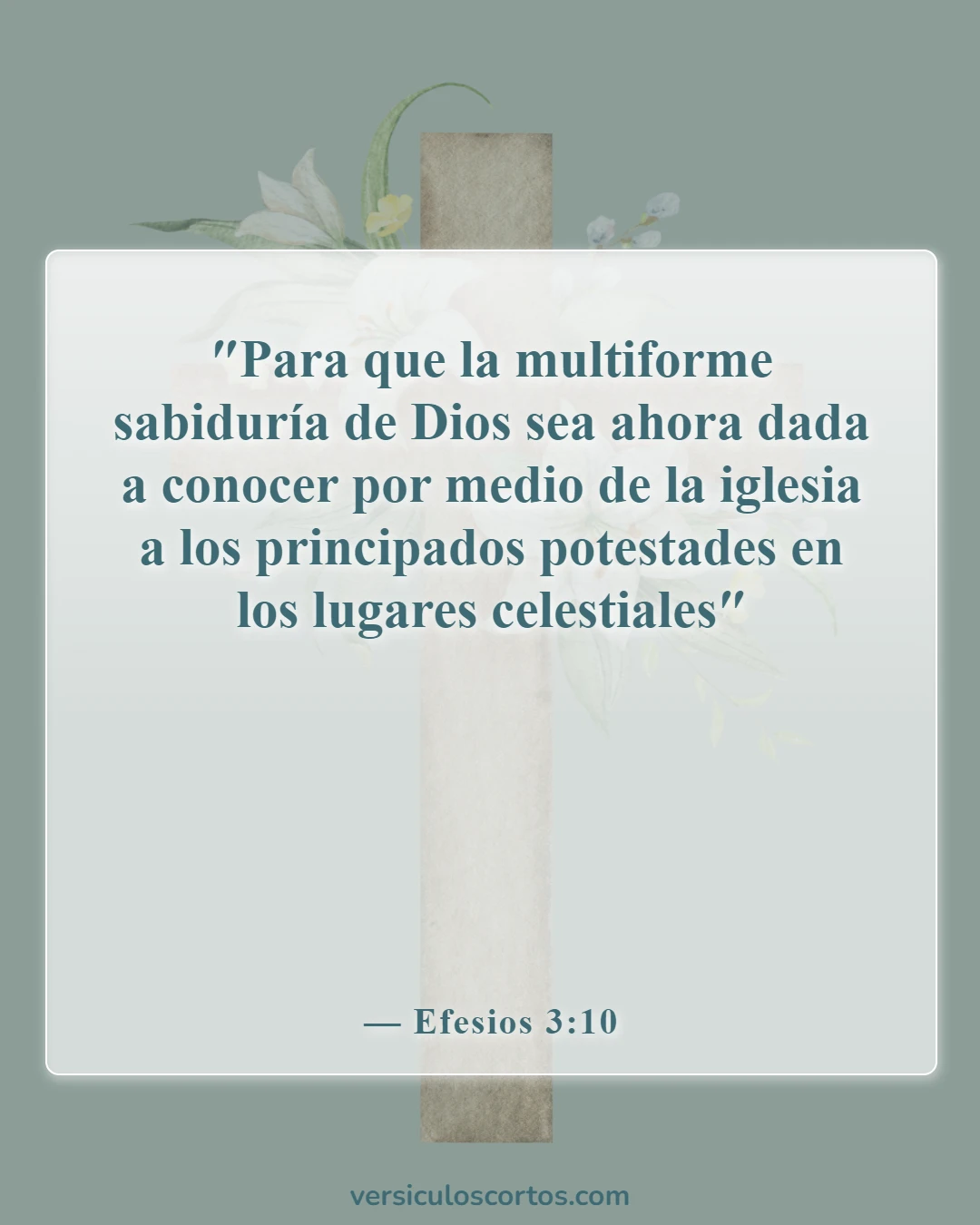Versículos de la Biblia sobre reunirse juntos (Efesios 3:10)