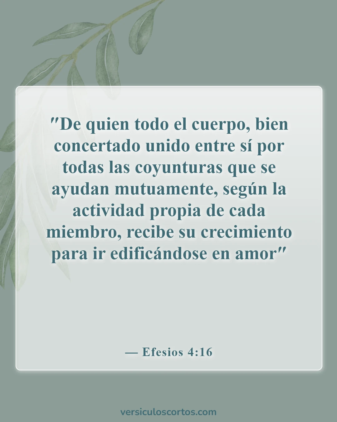 Versículos de la Biblia sobre los dones espirituales (Efesios 4:16)