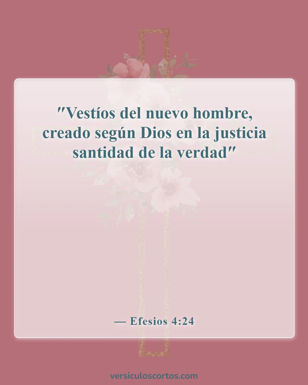 Versículos bíblicos sobre el cristiano carnal (Efesios 4:24)