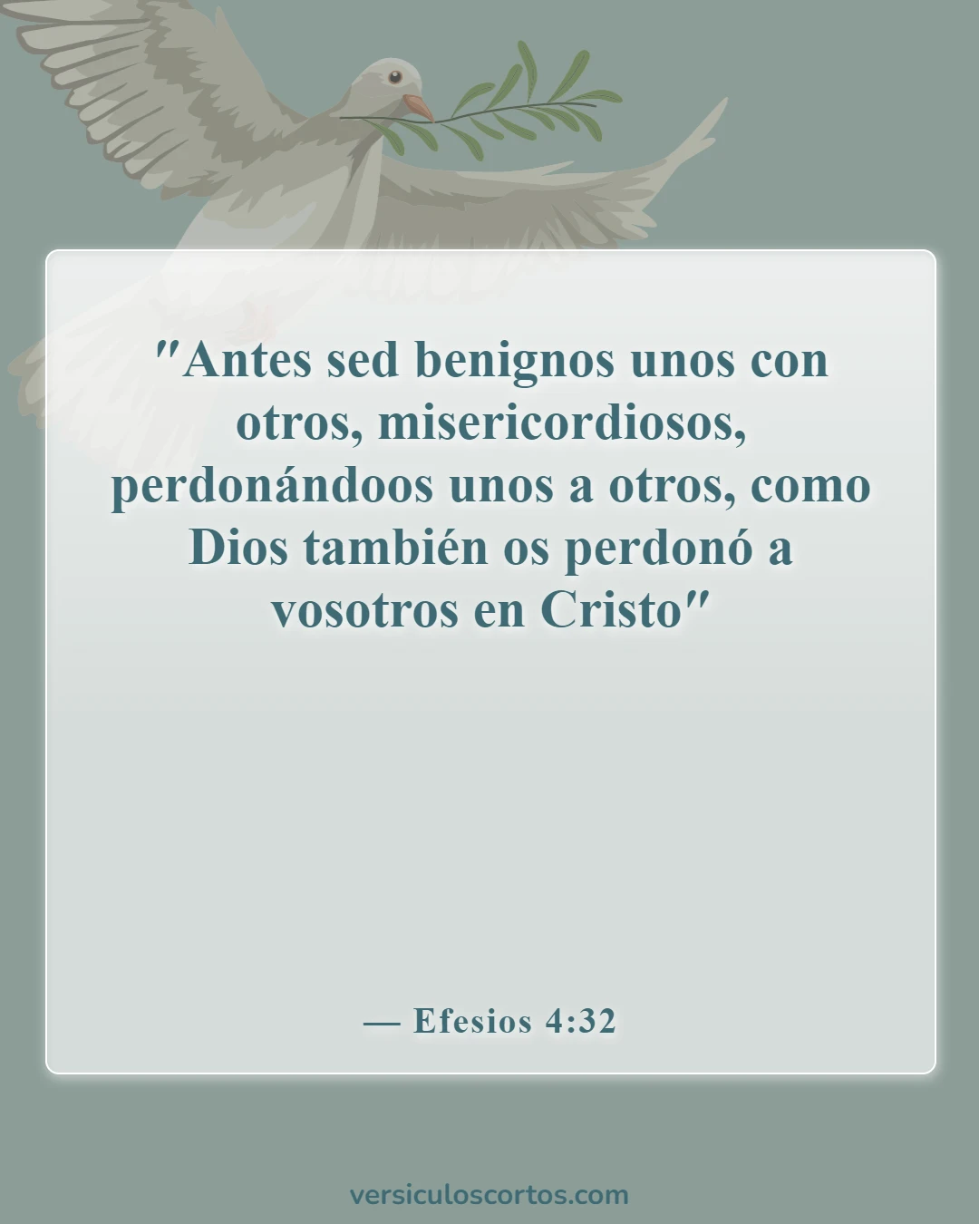 Versículos de la Biblia sobre la compasión hacia los demás (Efesios 4:32)