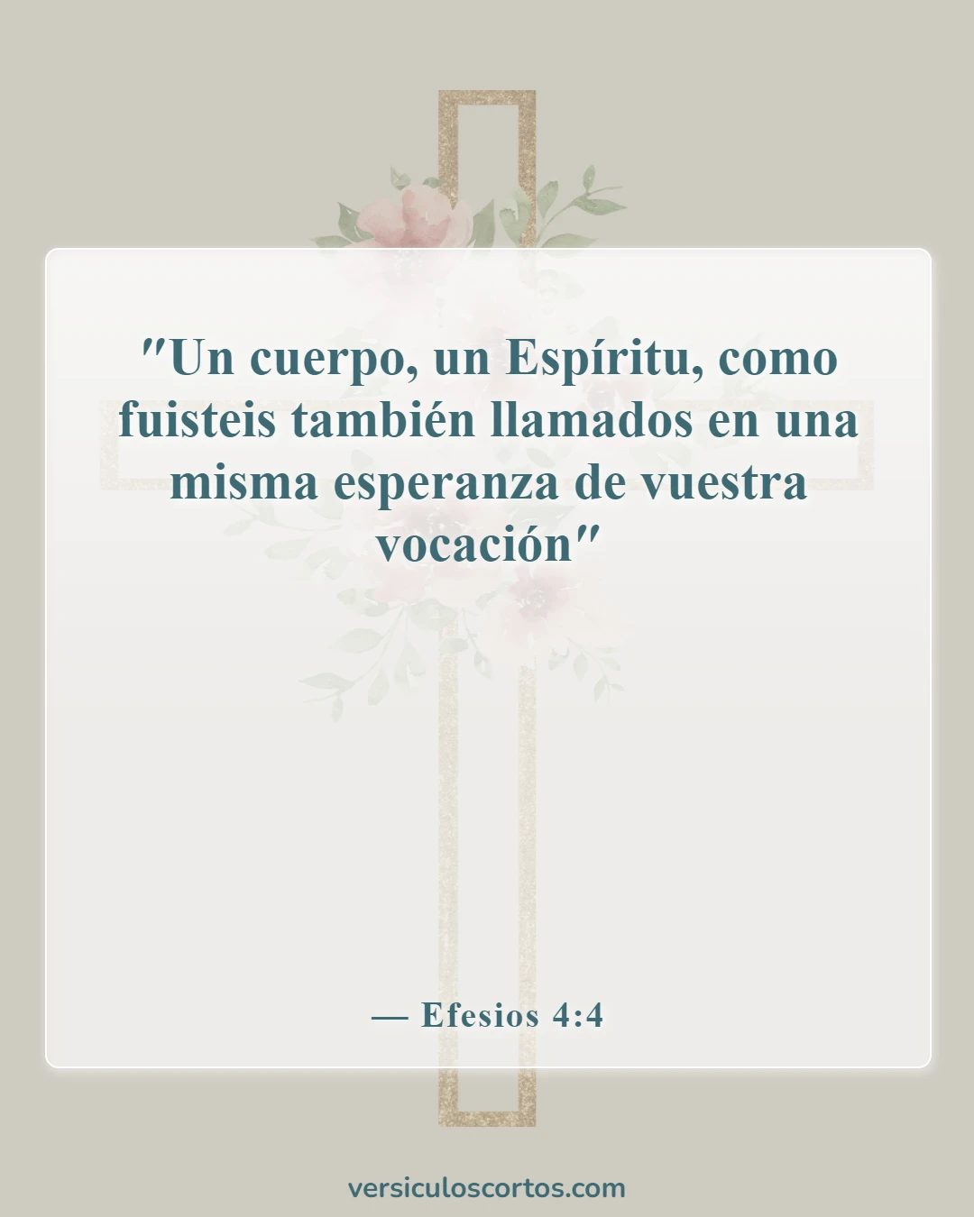Versículos bíblicos sobre la unidad en la iglesia (Efesios 4:4)