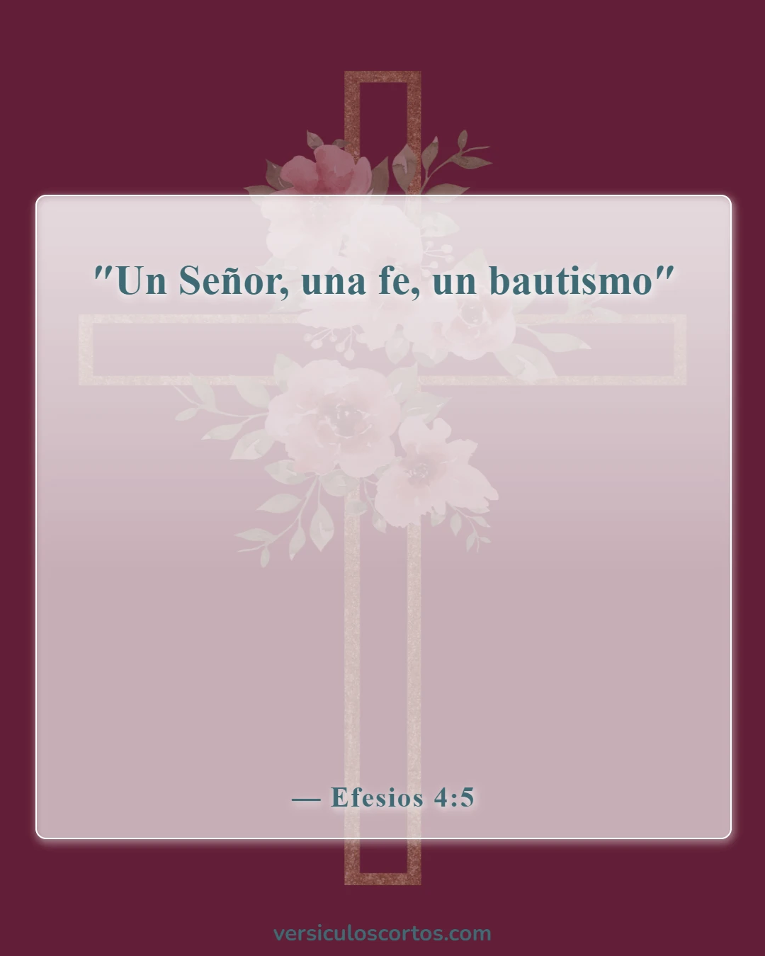 Versículos de la Biblia sobre el bautismo de bebés (Efesios 4:5)