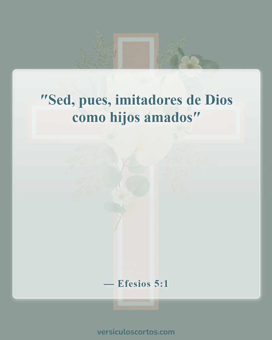 Versículos de la Biblia sobre salir con un no creyente (Efesios 5:1)