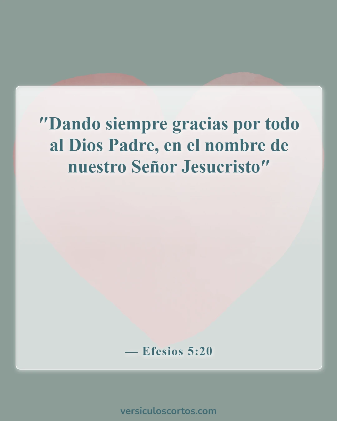 Versículos de la Biblia sobre la Apreciación de la Vida (Efesios 5:20)