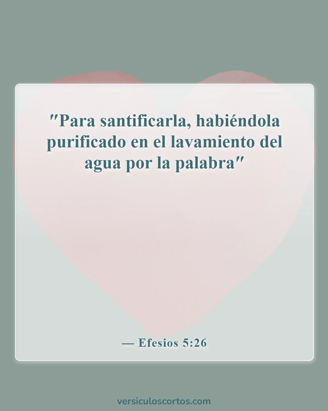 Versículos de la Biblia sobre la renovación de la mente (Efesios 5:26)