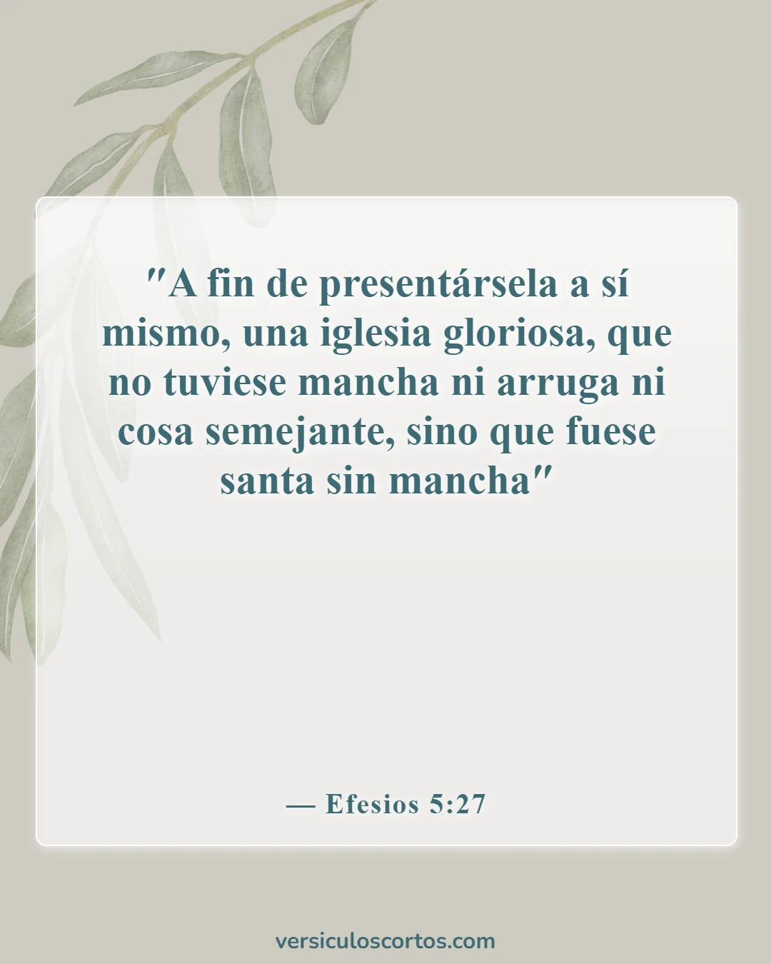 Versículos de la Biblia sobre problemas matrimoniales (Efesios 5:27)