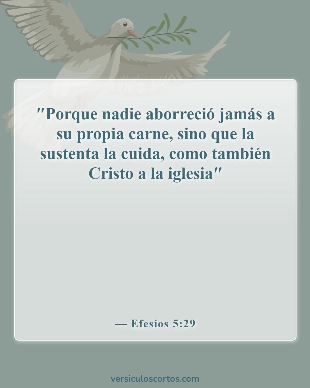 Versículos de la Biblia sobre amar tu cuerpo (Efesios 5:29)