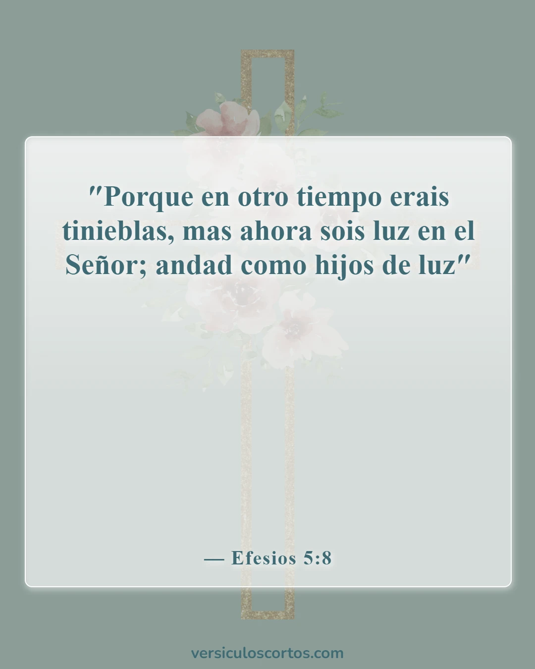 Versículos de la Biblia sobre salir con un no creyente (Efesios 5:8)